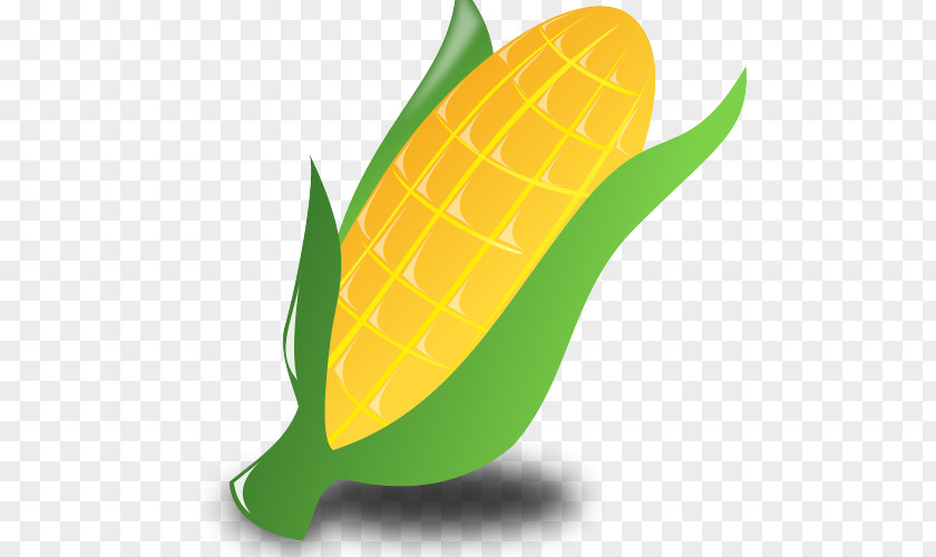 Vegetable Corn On The Cob Maize Corncob Clip Art PNG
