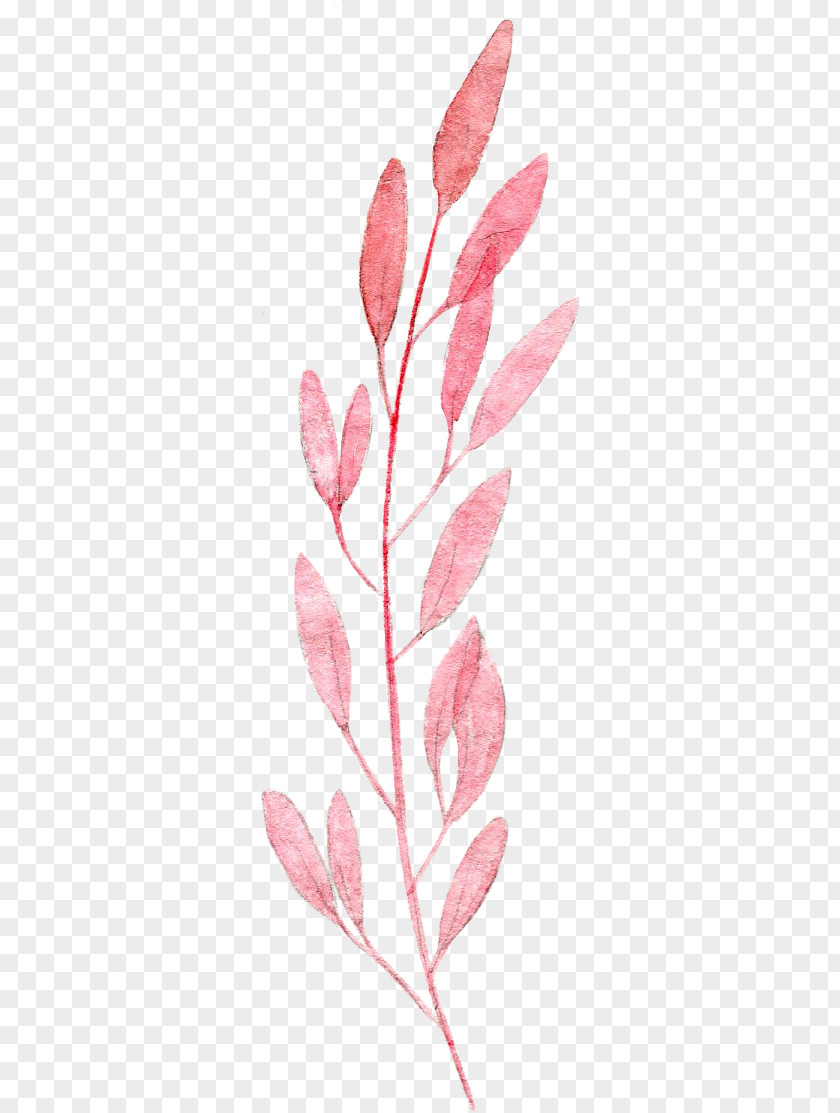 Watercolor Leaves Painting Leaf Pink Drawing PNG