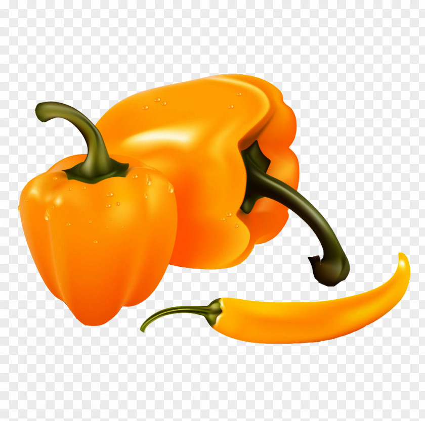 Yellow Persimmon Pepper Vector Bell Banana Chili Clip Art PNG