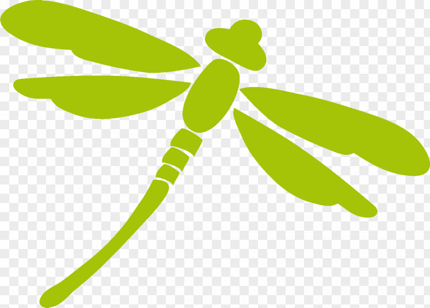 Album Insect Pollinator Flower Plant Stem PNG