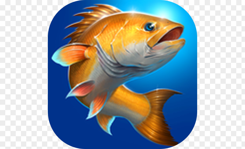 Android Fishing Hook Carpcraft: Carp Ace Fishing: Wild Catch PNG