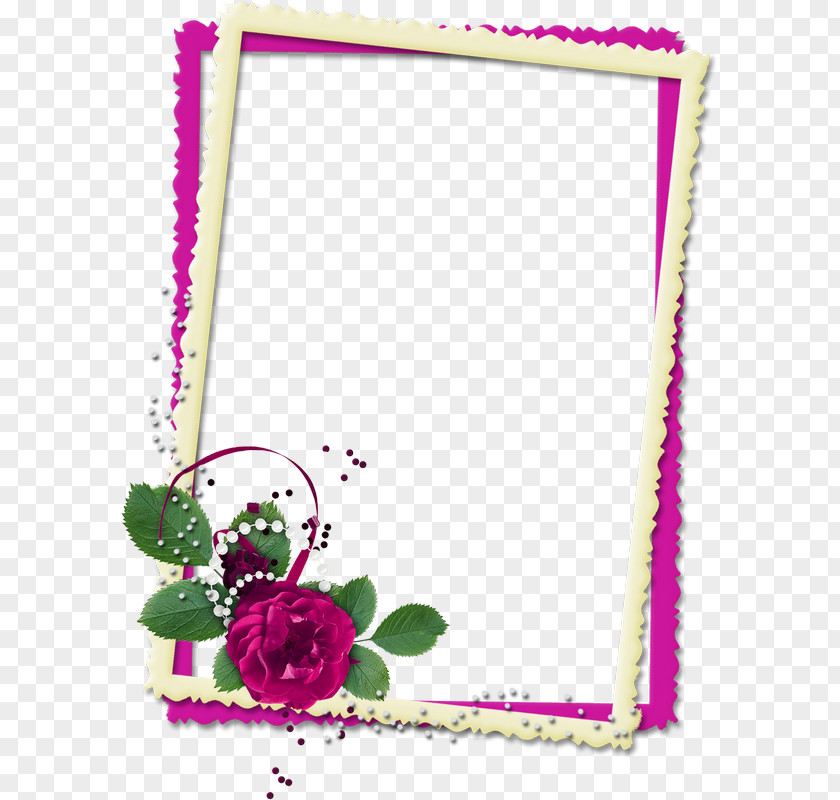 Design Picture Frames Floral Image PNG