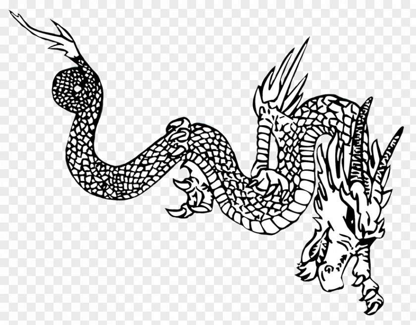 Dragon Fire Breathing Drawing Chinese PNG