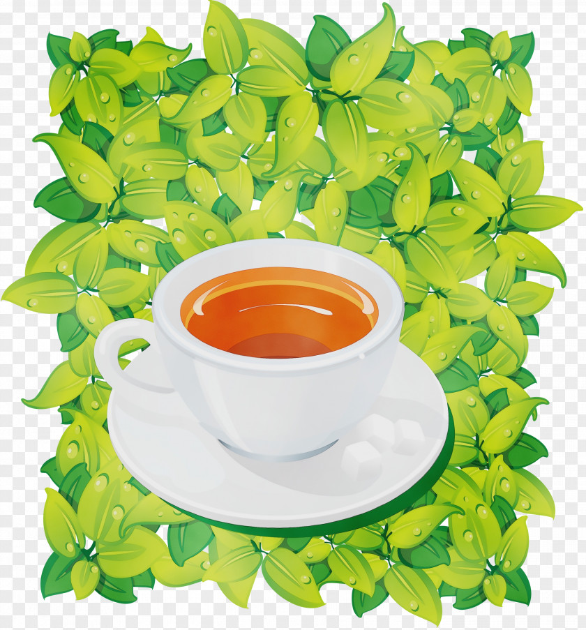 Herb Annual Plant Green Tea PNG