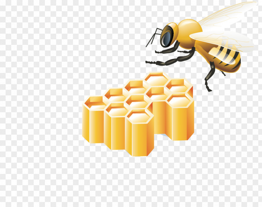 Bee Hive Honeycomb Clip Art PNG