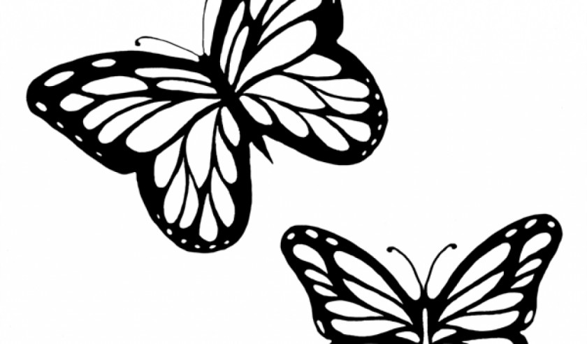 Butterflies Black And White Outline Monarch Butterfly Drawing Clip Art PNG