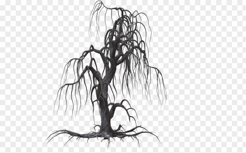 Creepy Tree Drawing Willow Clip Art PNG