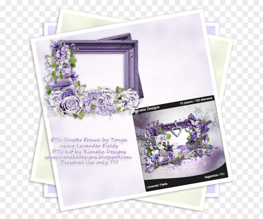Design Floral Picture Frames Petal PNG