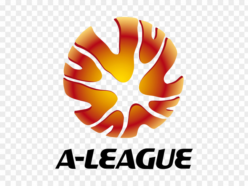 Football A-League National Youth League Melbourne Victory FC W-League English PNG