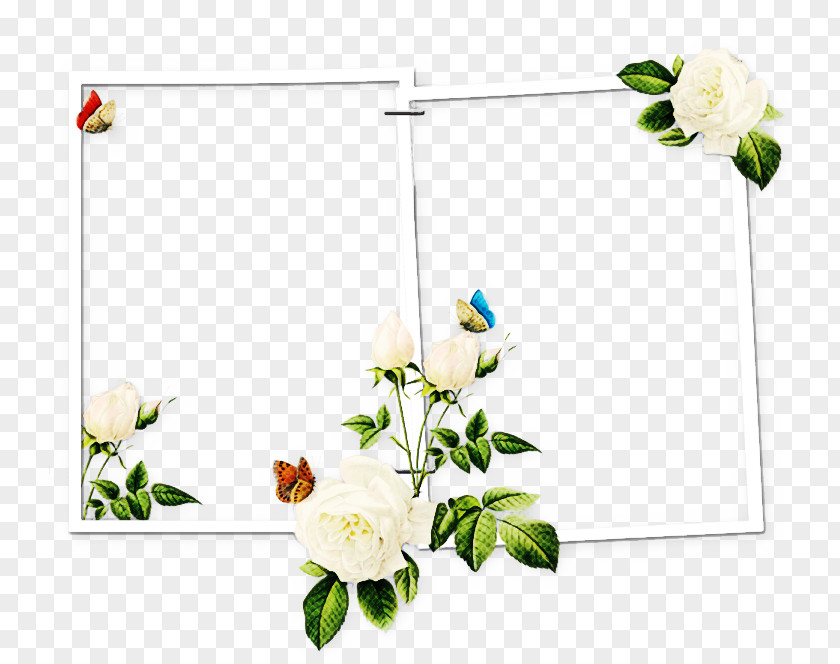 Rectangle Cut Flowers Drawing Of Family PNG