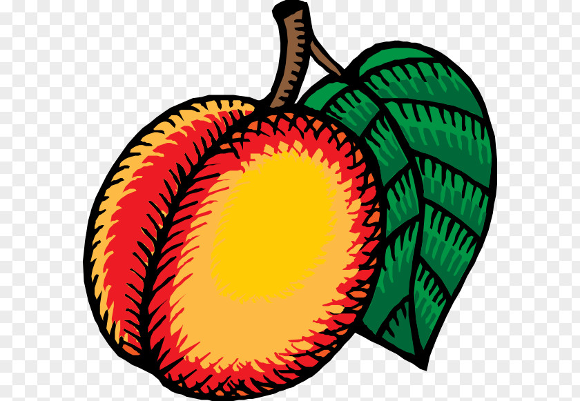 Hand Painted Cartoon Mid-autumn Festival Nectarine Clip Art PNG