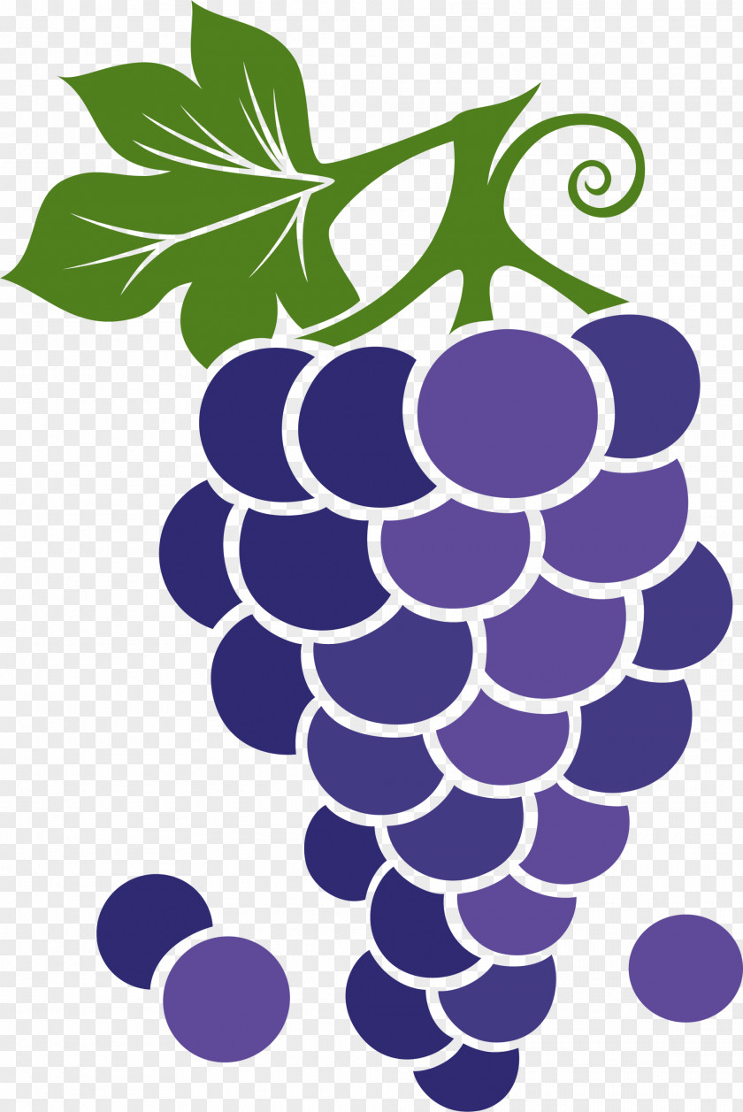 Purple Cartoon Grapes Grape Animation PNG
