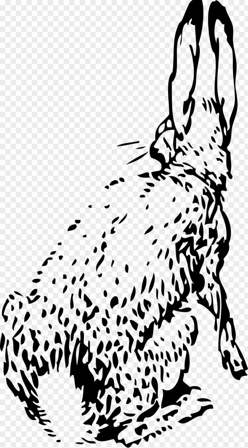 Rabbit Ears European Hare White Holland Lop Clip Art PNG