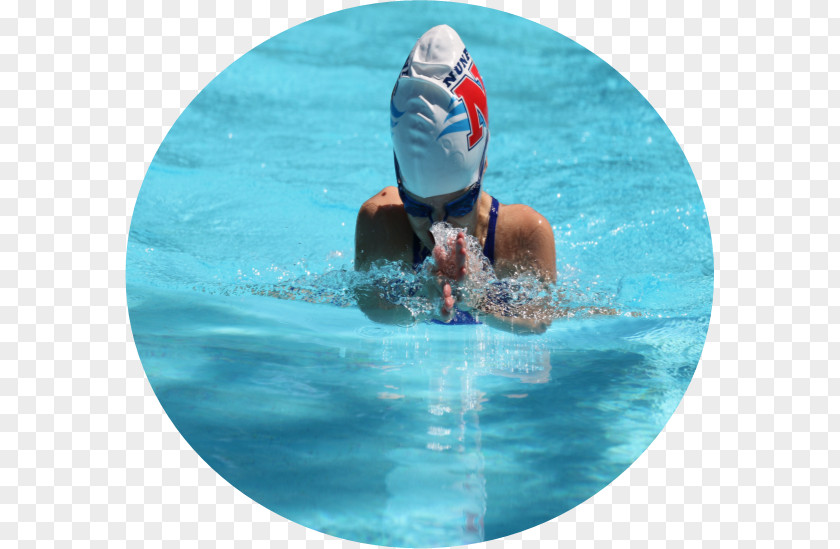 Swimming Competiton Pool Just Nunawading Leisure PNG