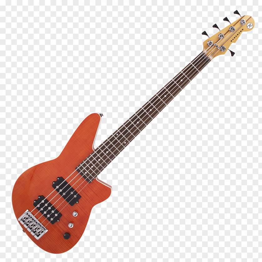 Bass Guitar Double Electric Acoustic PNG