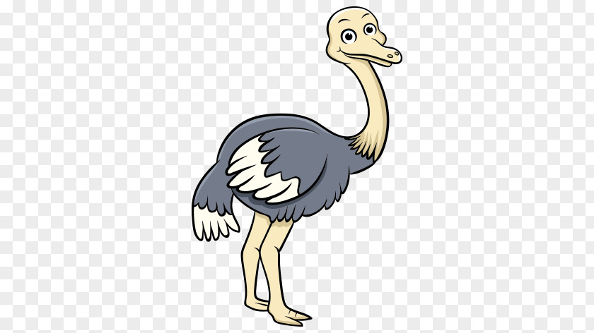 Common Ostrich Clip Art Bird GIF PNG