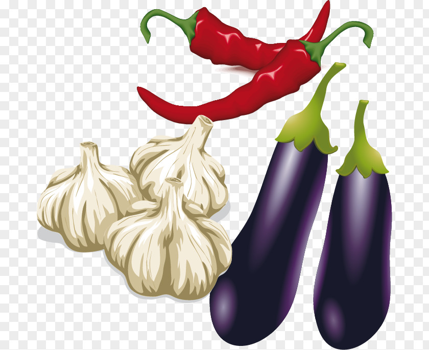 Eggplant Garlic Pepper Vector Material T-shirt Bento Jam Galbi PNG