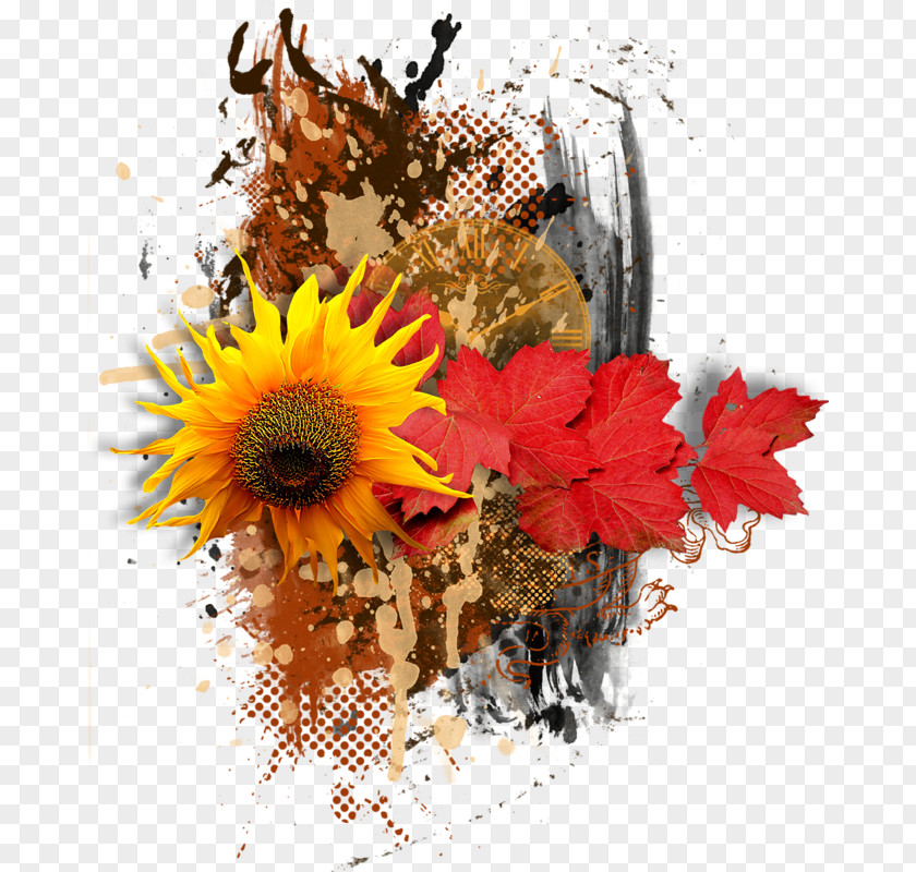 Flower Common Sunflower Floral Design Student Movement PNG