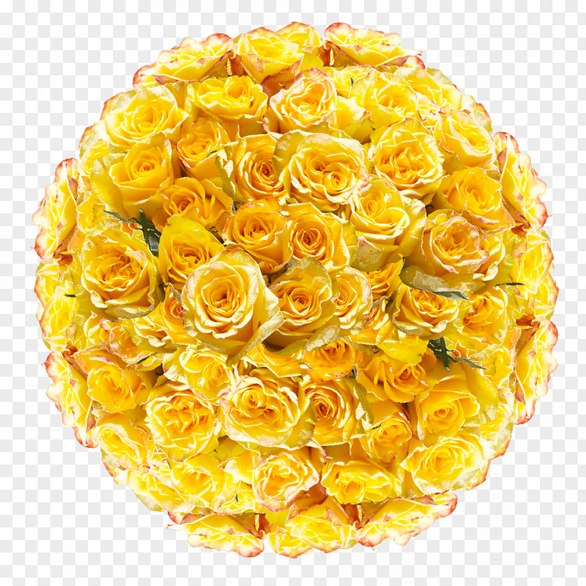 Garden Roses PNG