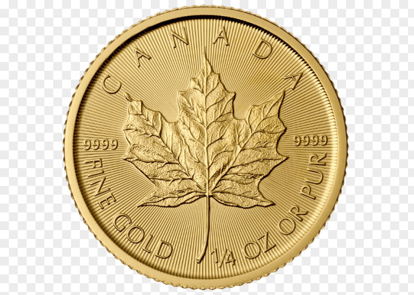 Gold Canadian Maple Leaf Bullion Coin PNG