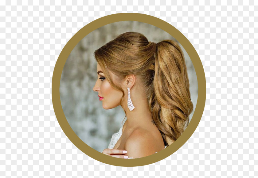 Hair Ponytail Hairstyle Wedding Updo PNG