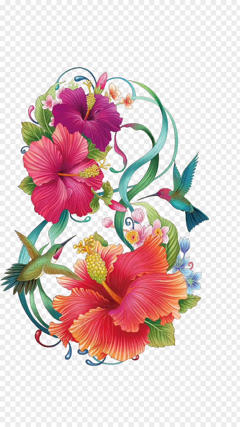 Hand Painted Hibiscus Flower Common Color Painting PNG