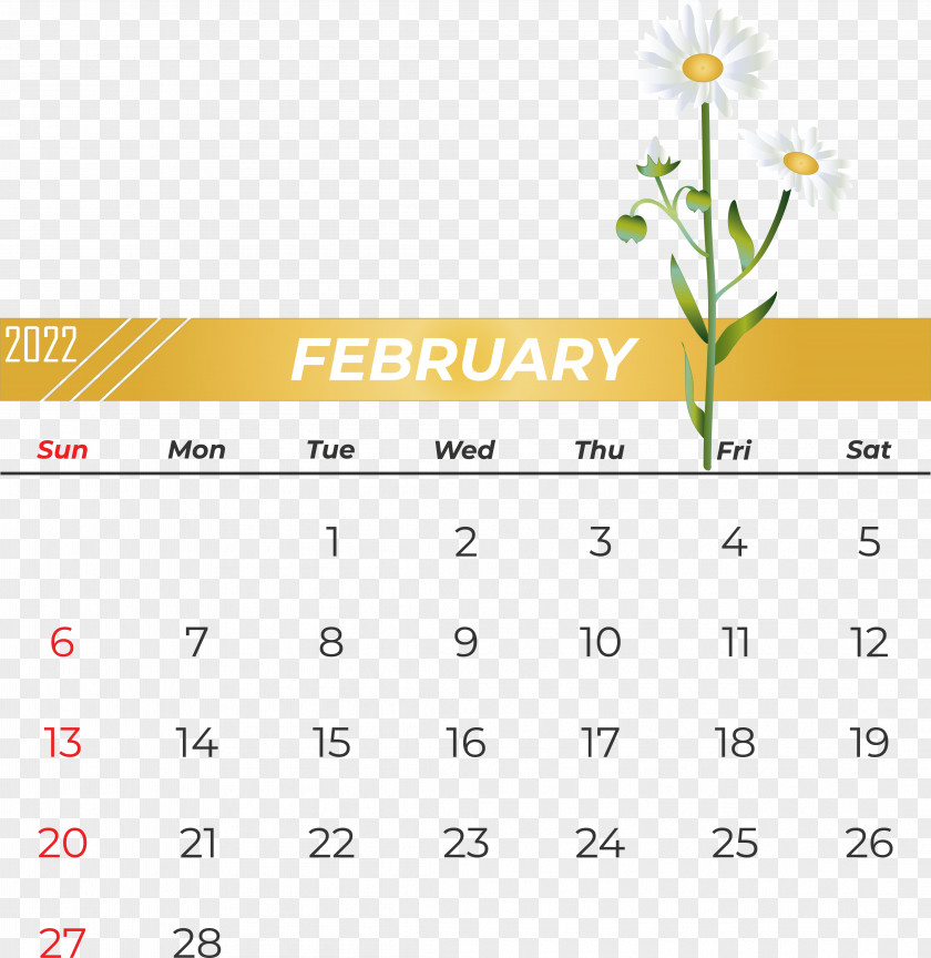 Line Calendar Font Yellow Flower PNG