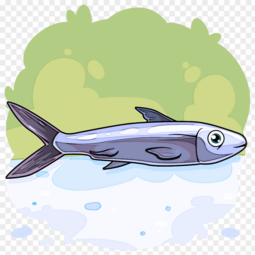 Bonyfish Fish Bony-fish PNG