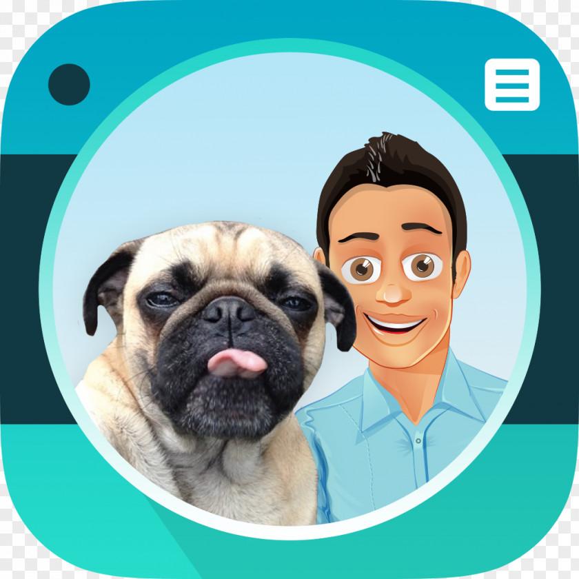 Pug Dog Selfies Photography Funny Animal PNG