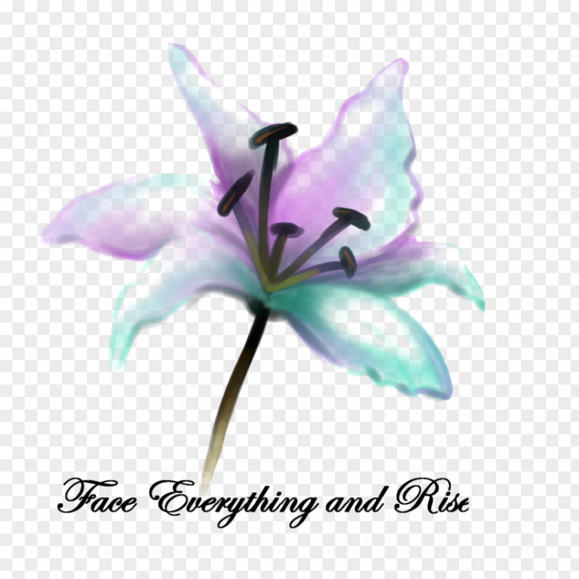 Turquoise Water Colour Plant Stem Lily M PNG