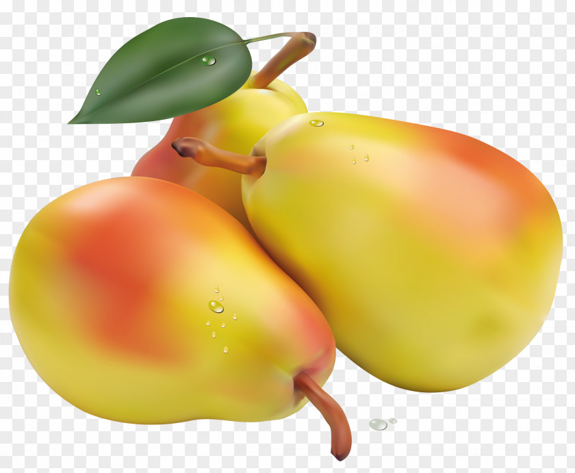Apricot Pear Fruit Clip Art PNG
