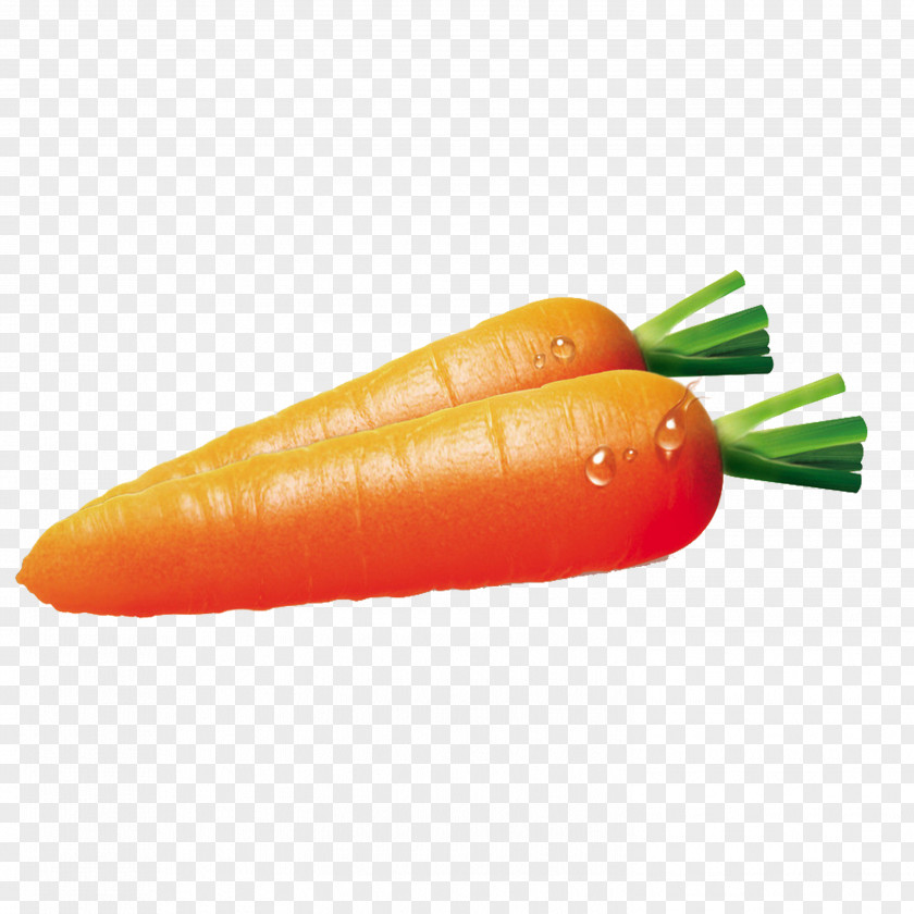 Carrot Vegetable Bell Pepper Fruit Carotene PNG