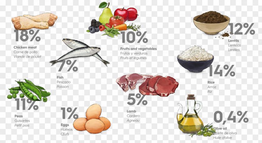 Mediterranean Diet MINI Cooper Food Nutrition Dieting PNG