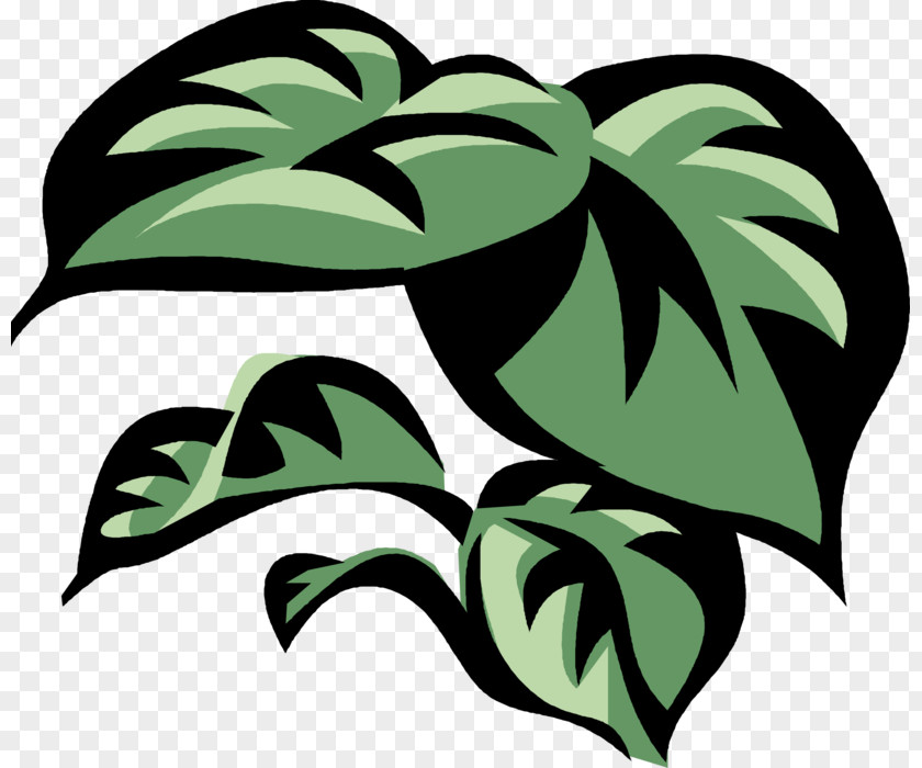 Philodendron Graphic Leaf Stencil Template Drawing Image PNG