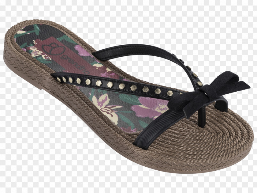 Sandal Flip-flops Grendha Ivete Sangalo Grendene Shoe PNG