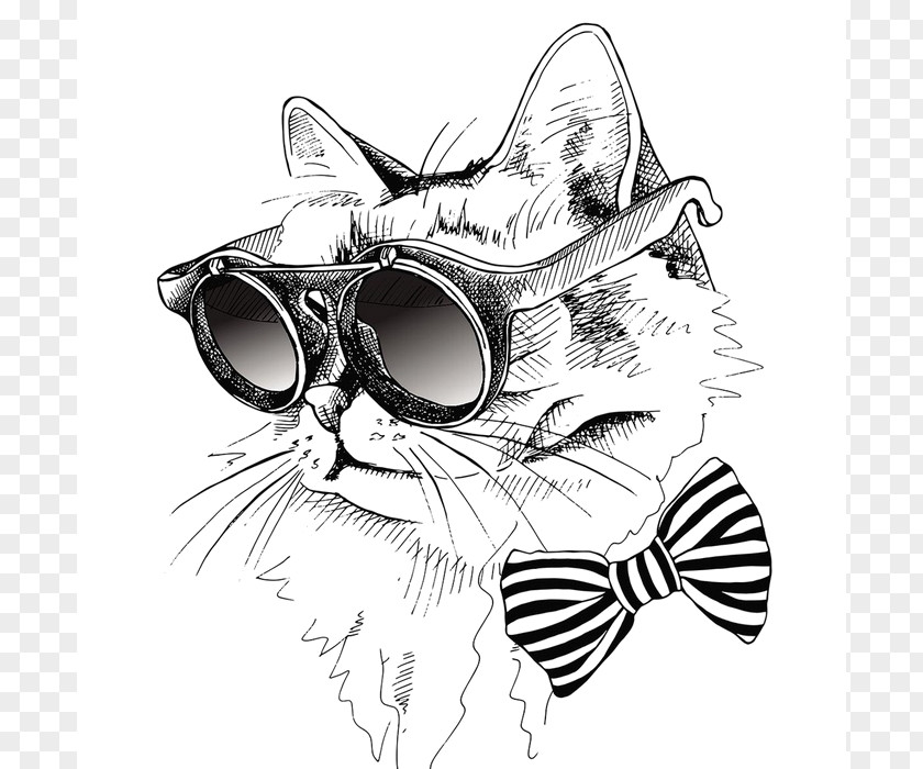 Tshirt Stock Photography T-shirt Illustration Cat PNG