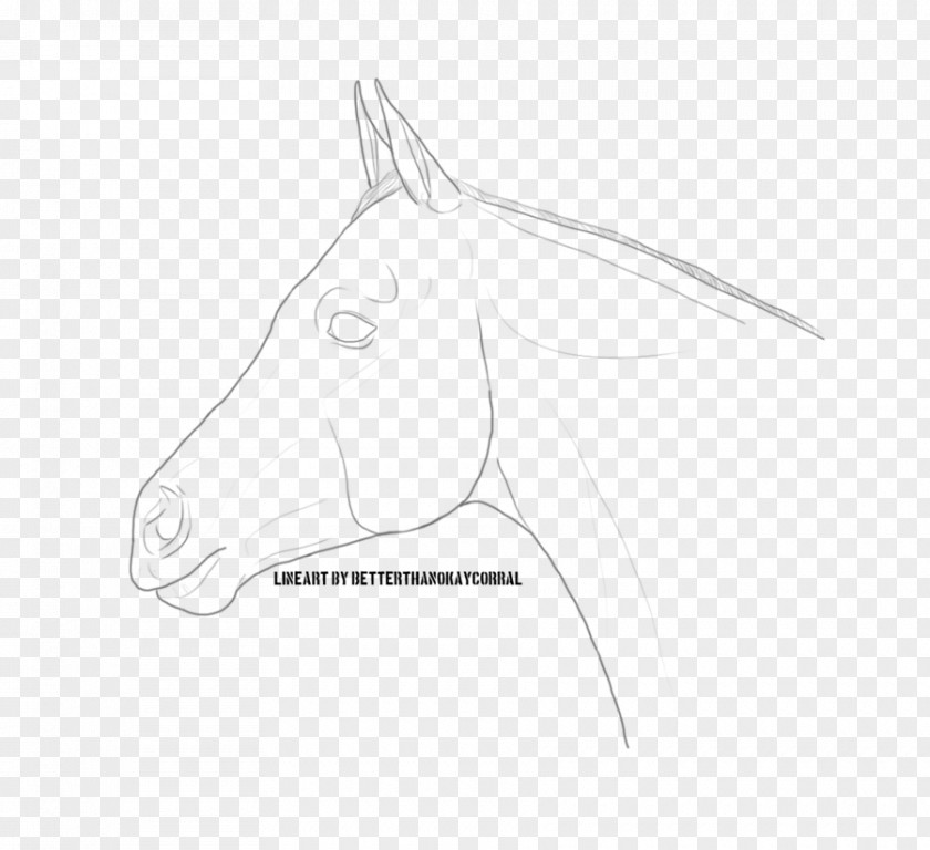 Warmblood Mane Mustang Pack Animal Line Art Sketch PNG
