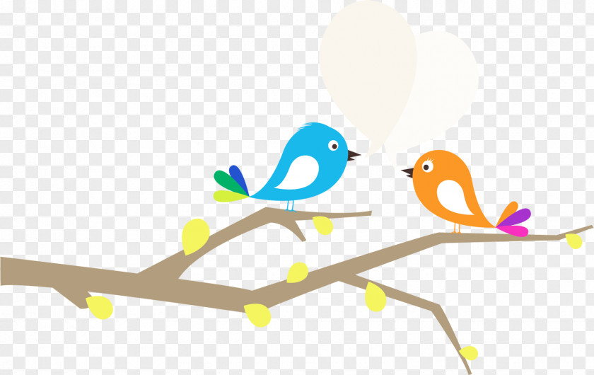 Bird Branch Lovebird Cartoon Drawing PNG