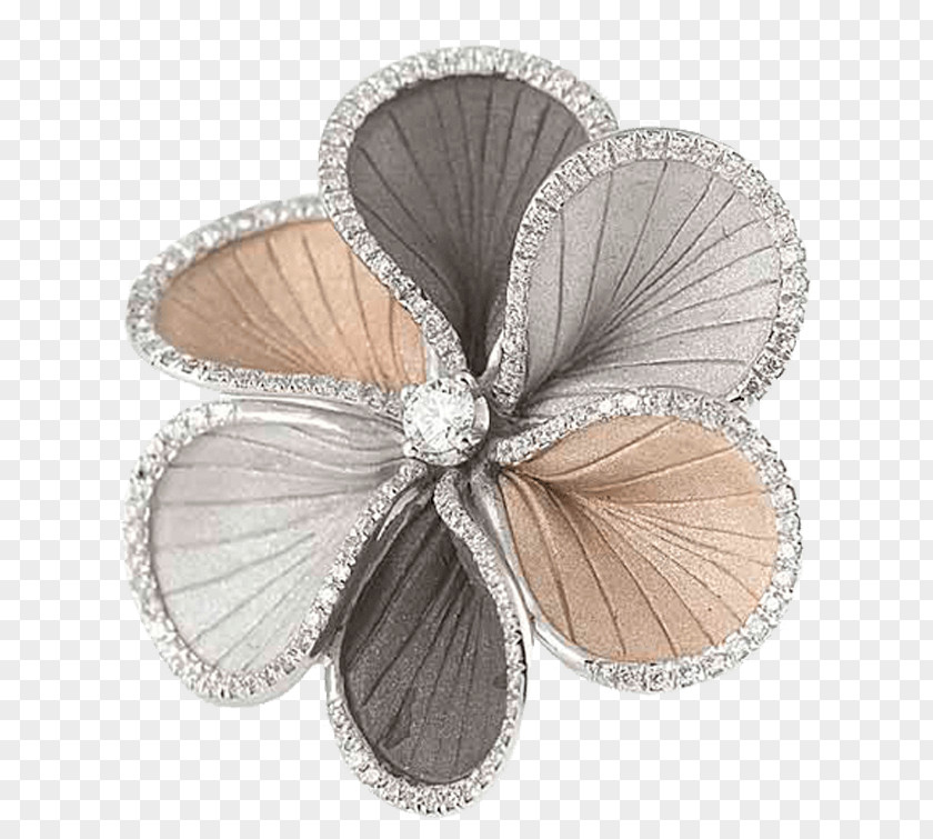 Butterfly Jewellery 2M Butterflies And Moths PNG