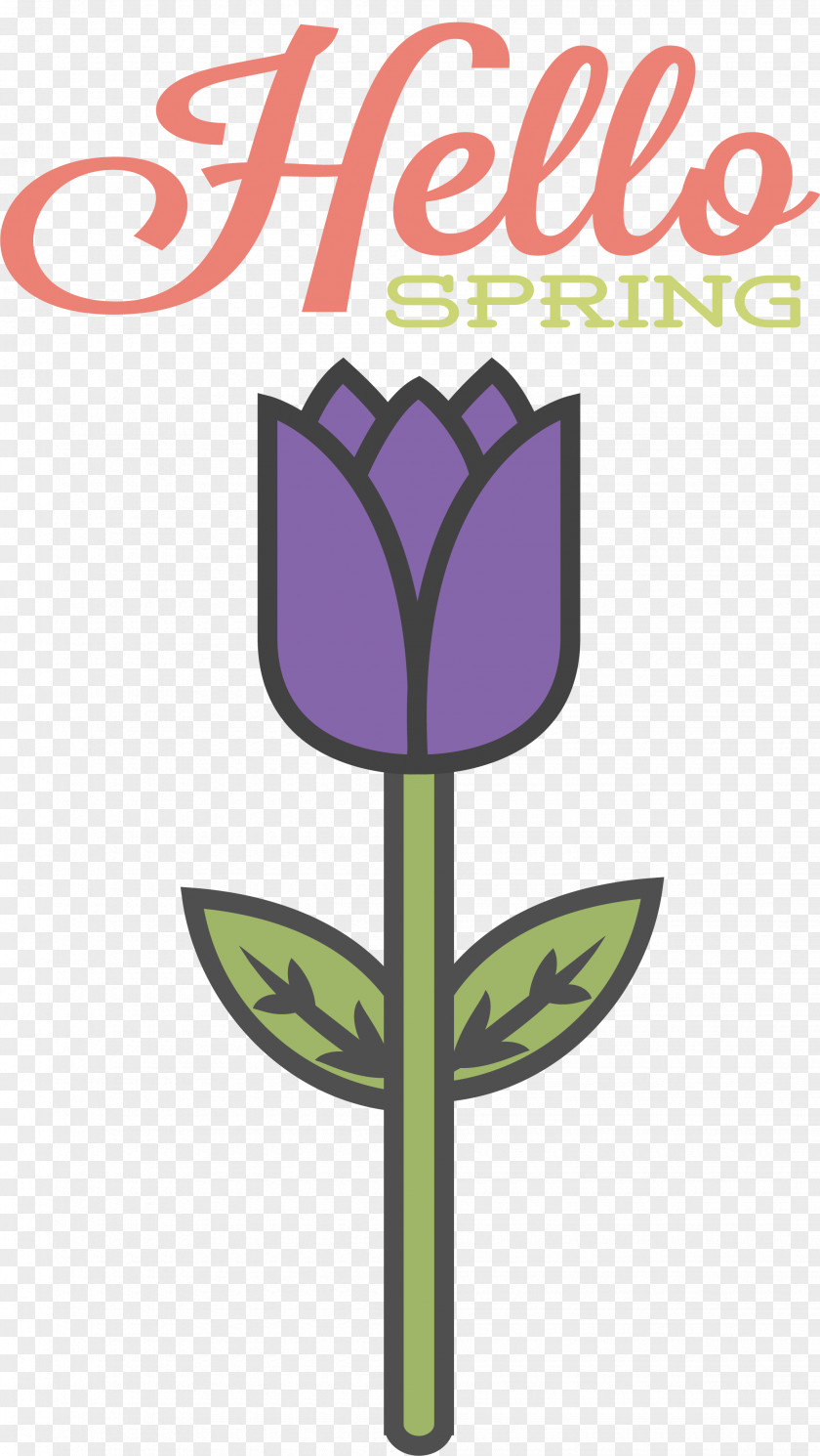 Floral Design PNG