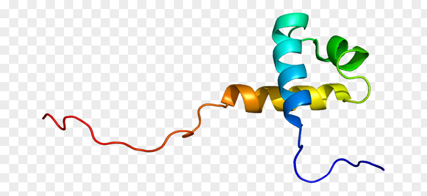 MTA3 MTA1 Protein Transcription Factor Gene PNG