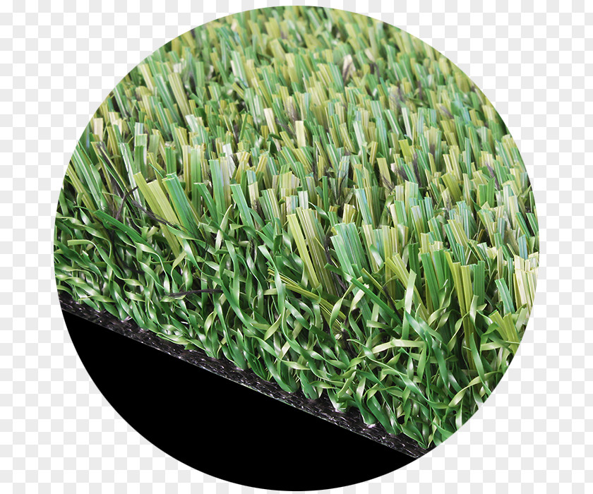 Turf Artificial Lawn Yard Carpet Synthetic Fiber PNG