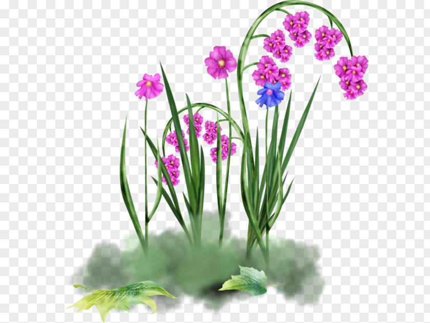 Flower Floral Design Orchids PNG