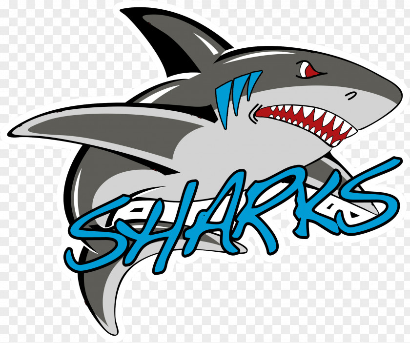 Sharks Hara Arena Dayton Continental Indoor Football League Team PNG