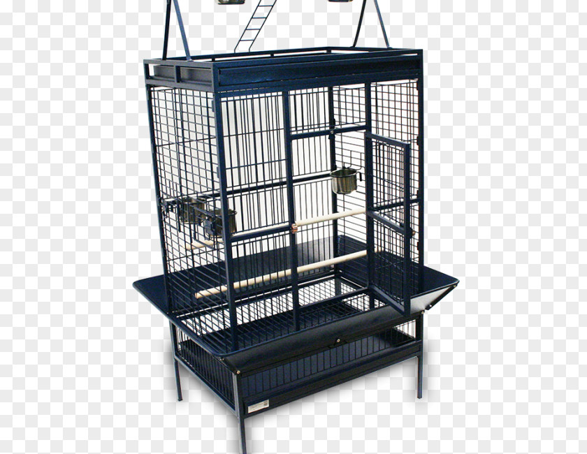 Bird Cage Reptile Comedero Food PNG