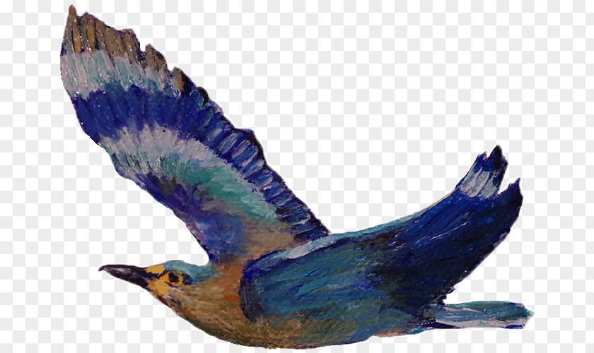Indian Roller Beak Cobalt Blue Feather Eagle PNG