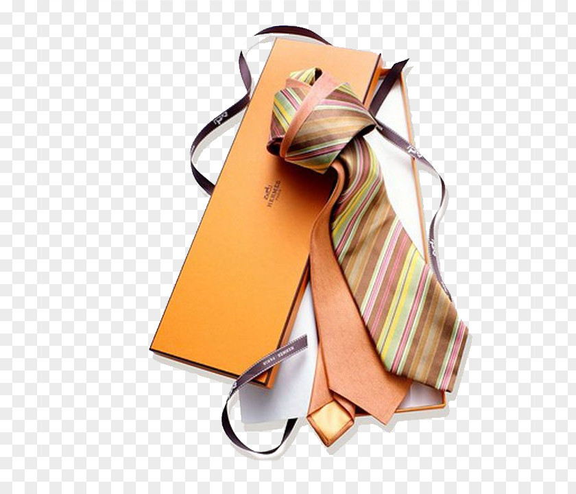 Tie Necktie Designer Fashion Accessory PNG