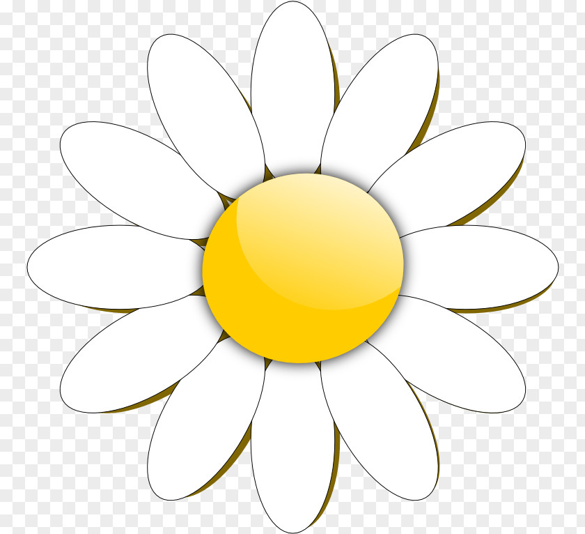 Daisy Mums Gertens Clip Art Vector Graphics Free Content Common PNG