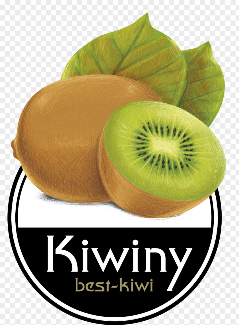Juice Kiwifruit Smoothie Kiwiny S.r.l.s. Purée PNG