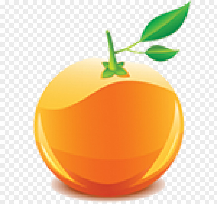 Orange Juice Grapefruit Lemon Mandarin PNG